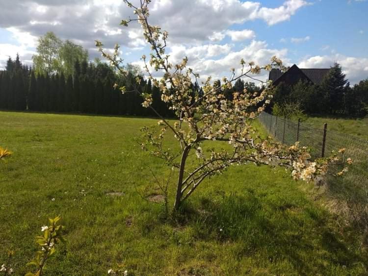 Domki Orla Pasym Eksteriør bilde